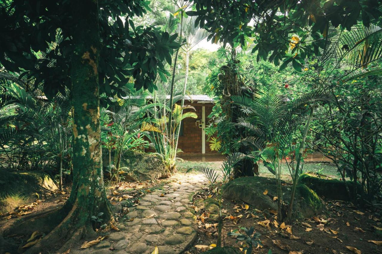 Huingos Eco Lodge Tarapoto Exterior foto