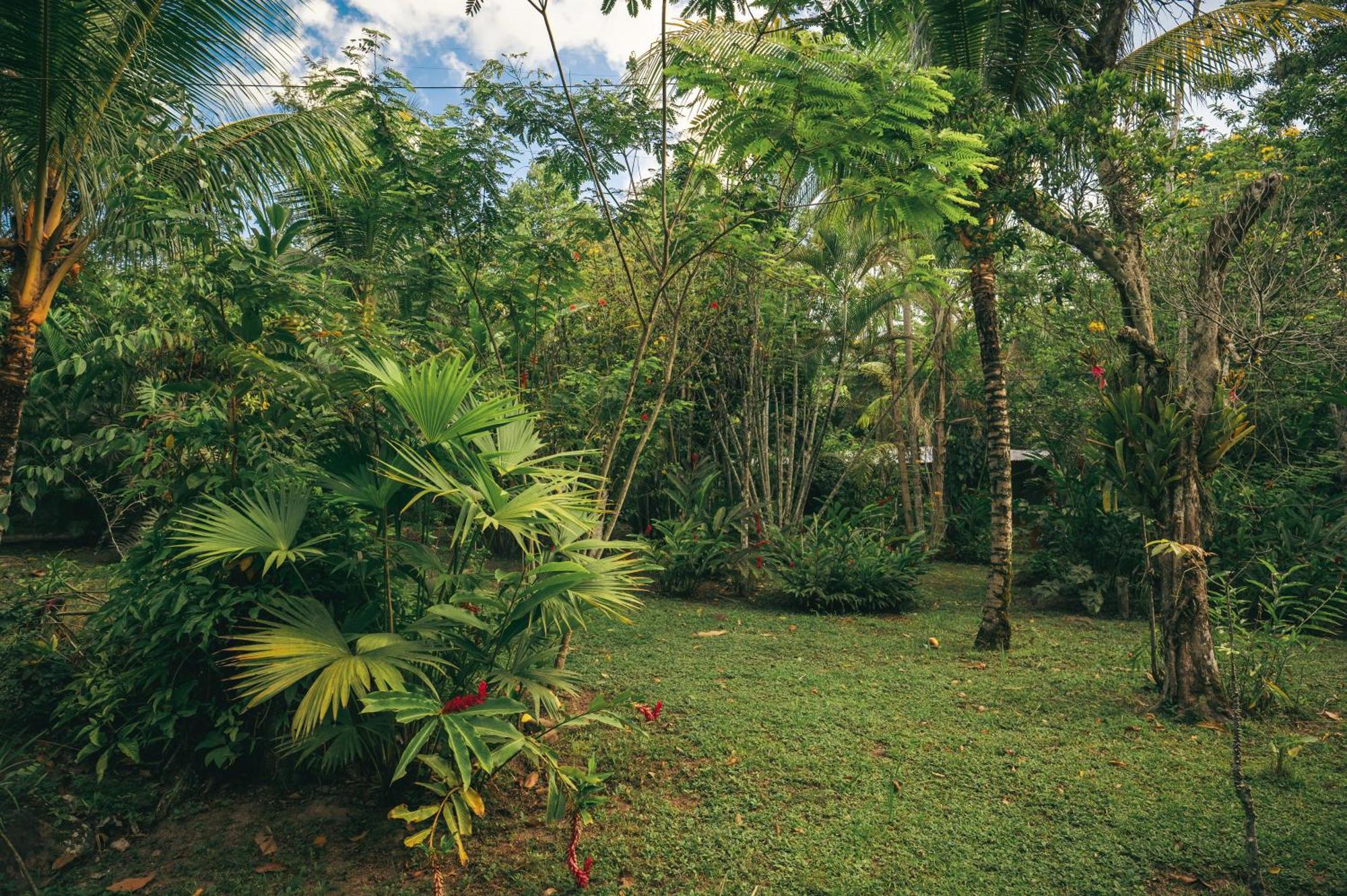 Huingos Eco Lodge Tarapoto Exterior foto